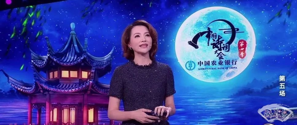 中国诗词大会节目主持人董卿